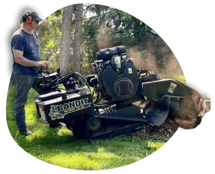 Person operating a Bandit Model SG-40 stump grinder on a grassy lawn near trees, wearing ear protection and safety goggles for safe stump grinding.
